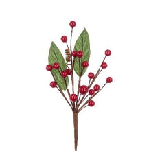 Mini Berry Pick 18cm Red