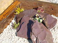 Plum Slate rockery