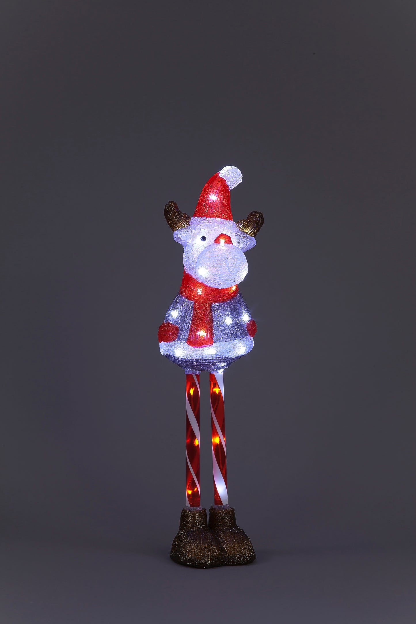 70cm Light-Up Acrylic Reindeer | Outdoor Christmas Decoration with 40 LEDs