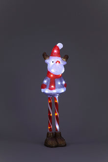 70cm Light-Up Acrylic Reindeer | Outdoor Christmas Decoration with 40 LEDs