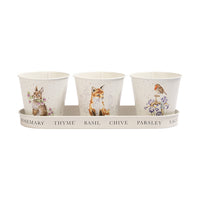 Set of 3 Herb Pots with tray Woodland