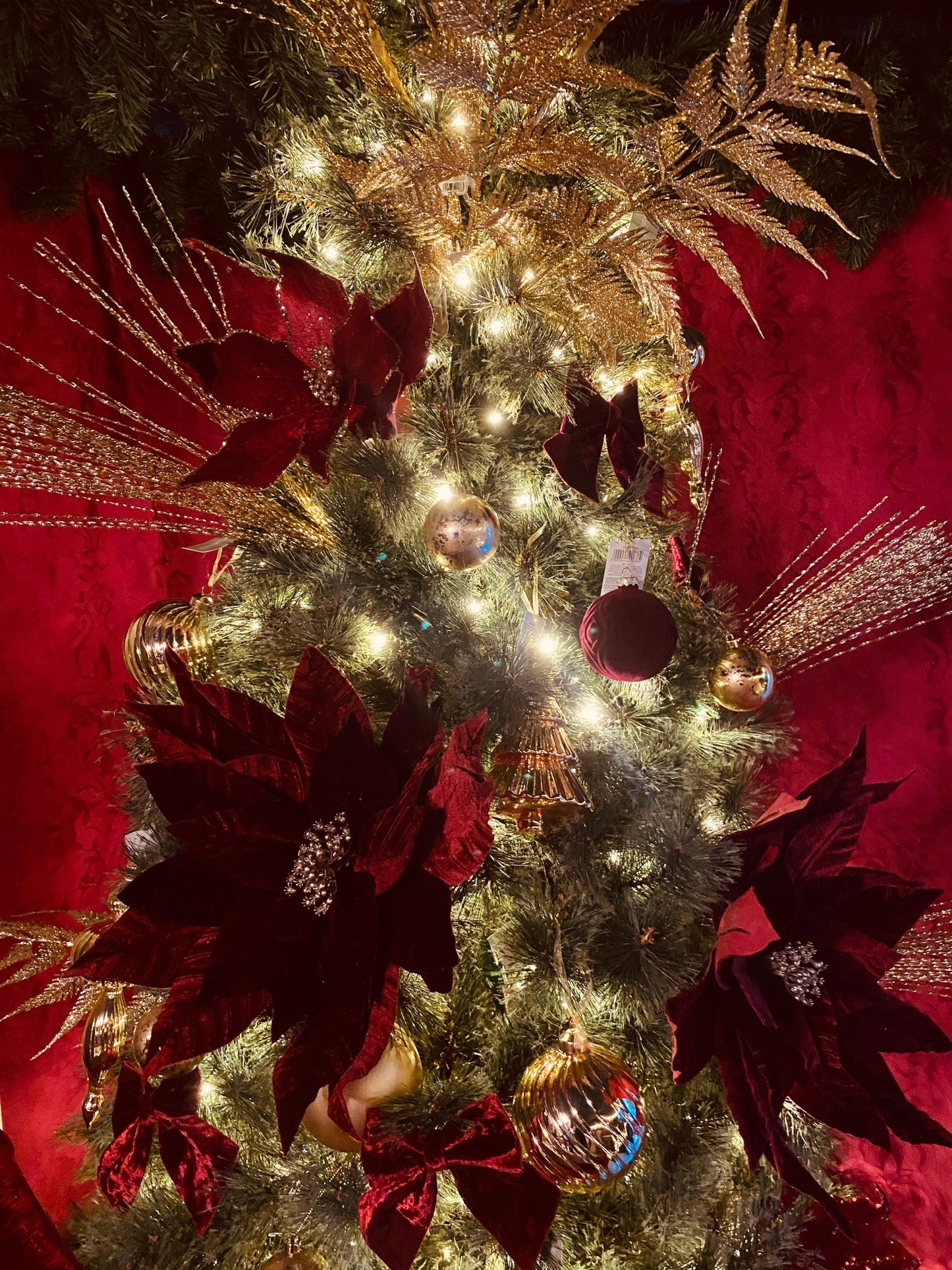 Santa's Grotto Visit