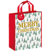 Merry Christmas Gift Bag