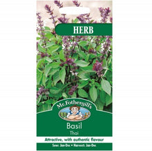 Mr Fothergills Basil Thai Seeds