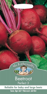 Mr Fothergills Beetroot Perfect - Seeds
