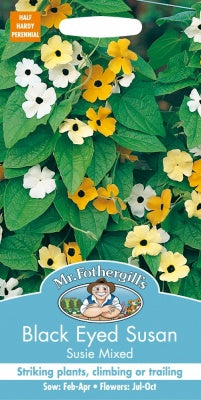 Mr Fothergills BLACK EYED SUSAN Susie Mixed Seeds