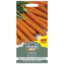 Mr Fothergills CARROT Norfolk F1 Seeds