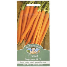 Mr Fothergills CARROT Sugarsnax 54 F1 Seeds