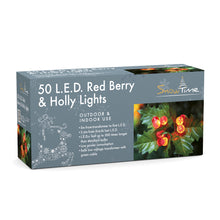 3.6m/12ft Red Holly Berry Indoor & Outdoor 50 Static LED Christmas Lights