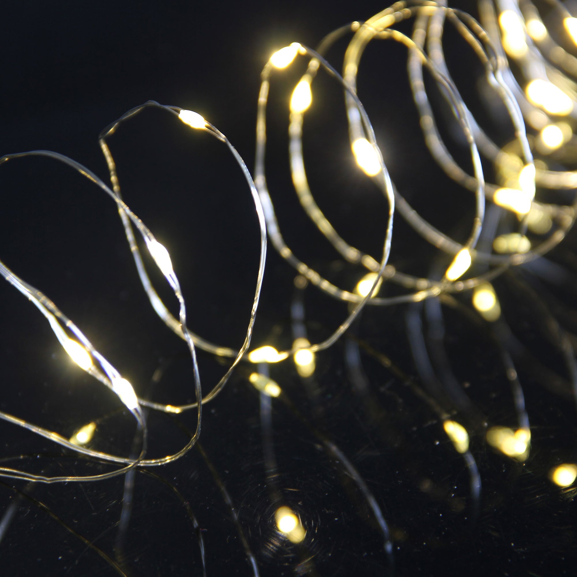 20 Warm White Micro LED Budget Lights – Sefton Meadows Garden Centre