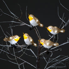 5 Acrylic Robin Lights w/30 Ice White LEDs/Clip-On Christmas Lights