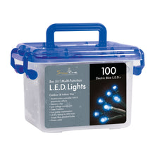 100 Blue LED Multi-Function Christmas lights with Timer
