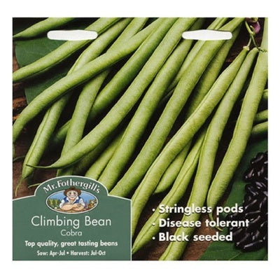 Mr Fothergills CLIMBING FRENCH BEAN Cobra Seeds