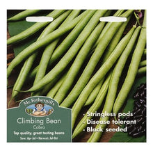Mr Fothergills CLIMBING FRENCH BEAN Cobra Seeds