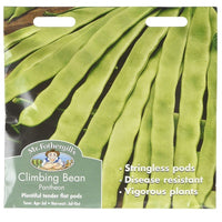 Mr Fothergills CLIMBING FRENCH BEAN Pantheon Seeds