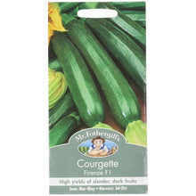 Mr Fothergills COURGETTE Firenze F1 Seeds