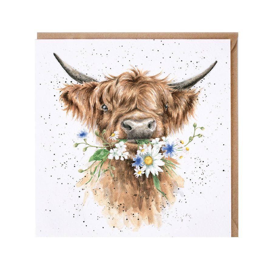 'Daisy Coo' Highland Cow Greeting Card 15x15cm