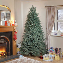 6ft Blue/Green Louise Fir Luxury Premium PE Christmas Tree