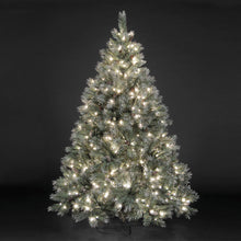 7ft "Pre-Lit" Frosted Emerald Fir Christmas Tree