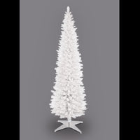 180cm/6ft White Pencil Pine Christmas Tree