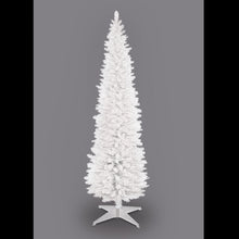 180cm/6ft White Pencil Pine Christmas Tree