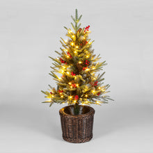 4ft Pre-Lit Ontario Porch PE Mix Tree With 100 LEDs (120cm)