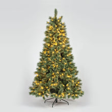210cm Arcadia Full Cashmere Tree 800 Tips 400 Warm White LEDs
