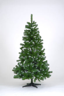 210cm (7ft) Colorado Frosted Green Slim Spruce Christmas Tree