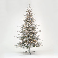 180cm Innsbruck Fir Flocked Tree