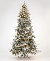180cm Majestic Pine Snowy Tree with 683 Tips 300 Warm White LEDs