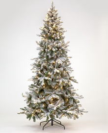 180cm Majestic Pine Snowy Tree with 683 Tips 300 Warm White LEDs