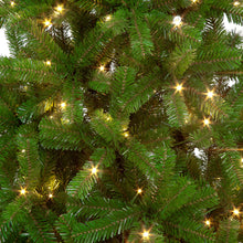 Randolph Pine Pre-Lit Tree 7ft