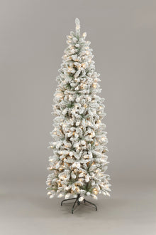 150cm Pre-Lit Snowshoe Spruce Slim w/150 Warm White LEDs Christmas Trees
