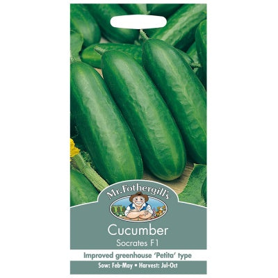 Mr Fothergills CUCUMBER Socrates F1 Seeds