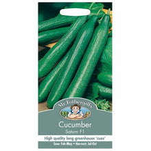 Mr Fothergills Cucumber Saturn F1 Seeds