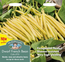 Mr Fothergills DWARF FRENCH BEAN Cala D'Or Seeds