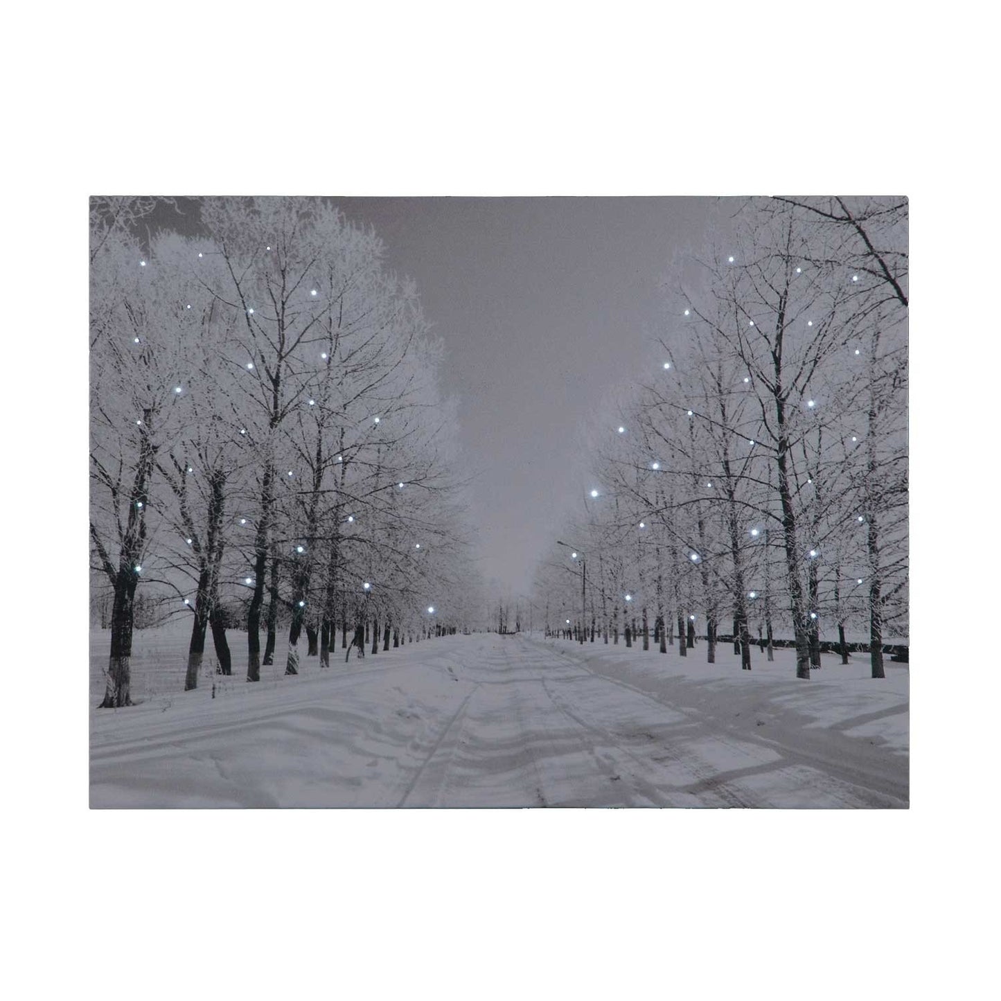 Battery Operated Fibre Optic 40x30cm Tree-Lined Snowy Avenue at Night Canvas