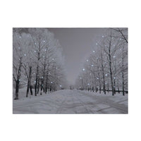 Battery Operated Fibre Optic 40x30cm Tree-Lined Snowy Avenue at Night Canvas