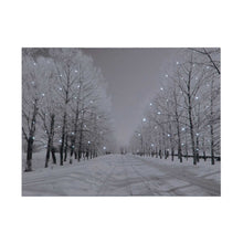 Battery Operated Fibre Optic 40x30cm Tree-Lined Snowy Avenue at Night Canvas