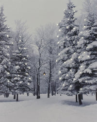 Battery Operated  Fibre Optic  Woodland Snow Scene Canvas  30cm x 40cm