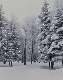 Battery Operated  Fibre Optic  Woodland Snow Scene Canvas  30cm x 40cm