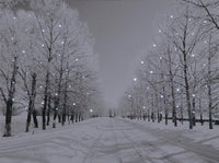 Battery Operated Fibre Optic Canvas With Tree-Lined Snowy Avenue At Night 70cm x 50cm
