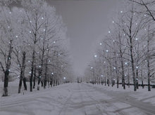 Battery Operated Fibre Optic Canvas With Tree-Lined Snowy Avenue At Night 70cm x 50cm