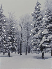 Battery Operated Fibre Optic Woodland Snow Scene Wall Canvas 50x70cm