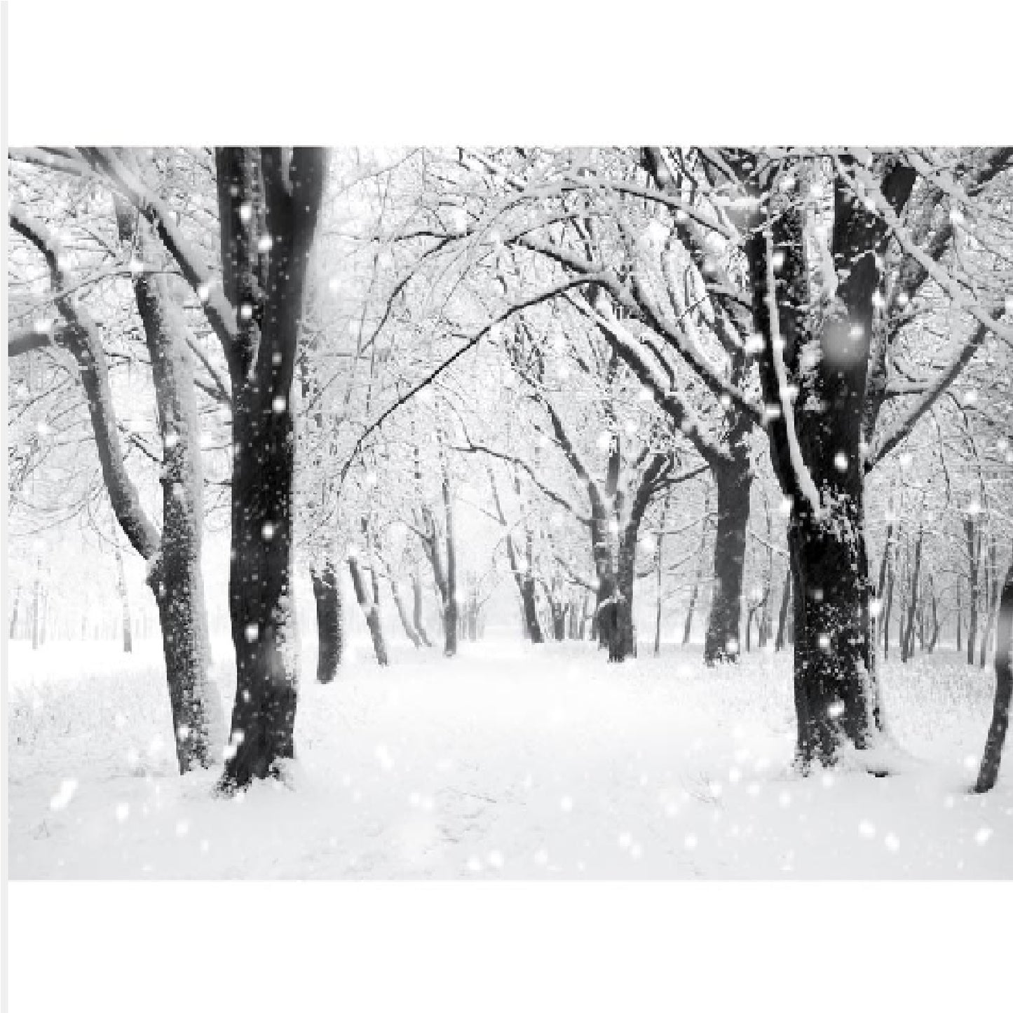 Fibre Optic Christmas Canvas with Snowy Wood 70x50cm