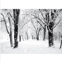 Fibre Optic Christmas Canvas with Snowy Wood 70x50cm