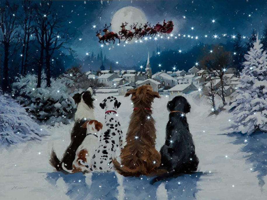 Fibre Optic Christmas Dogs Canvas by Richard Macneil 40cm x 30cm
