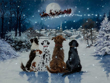 Fibre Optic Christmas Dogs Canvas by Richard Macneil 40cm x 30cm