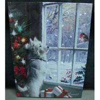 Battery Operated Fibre Optic 30x40cm Curiosity Canvas