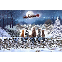Fibre Optic "Christmas Cats" Canvas by Richard Macneil 60cm x 30cm